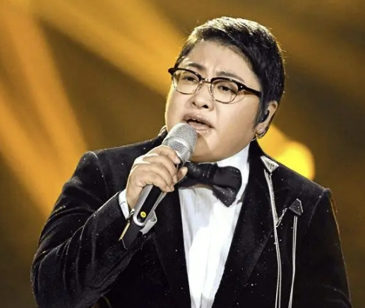 中国著名女歌手韩红 [高品质MP3/320kbps] 合集 网盘高速下载-无损音乐源