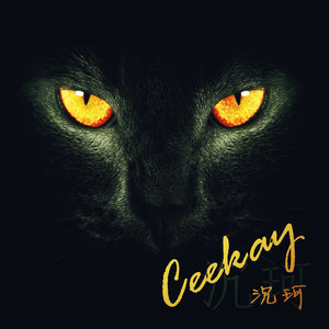 沉珂(C.K)&光光《飞向别人的床》Flac/MP3格式音乐下载-无损音乐源