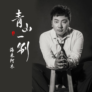 海来阿木《青山一别（民谣版）》Flac/MP3格式 无损音乐下载-无损音乐源