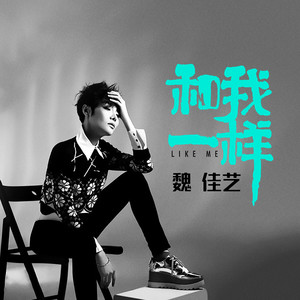 魏佳艺《和我一样》Flac/MP3格式 无损音乐下载-无损音乐源