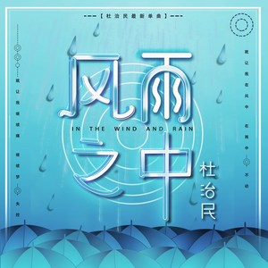 杜治民《风雨之中》Flac/MP3格式 无损音乐下载-无损音乐源