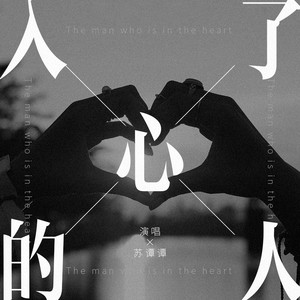 苏谭谭《入了心的人》Flac/MP3格式 无损音乐下载-无损音乐源