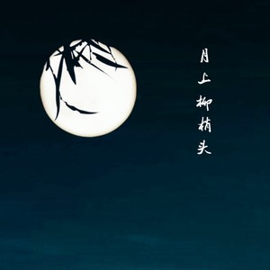 王子健《月上柳梢头》Flac/MP3格式 无损音乐下载-无损音乐源