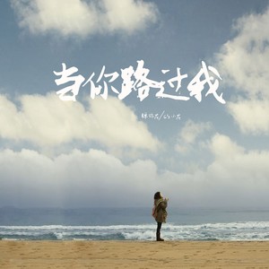 弹棉花的小花《当你路过我》Flac/MP3格式 无损音乐下载-无损音乐源