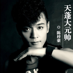 陈梓豪《天蓬大元帅》Flac/MP3格式 无损音乐下载-无损音乐源