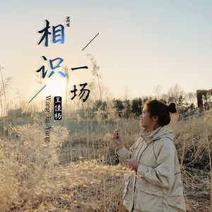 王佳杨《相识一场》Flac/MP3格式 无损音乐下载-无损音乐源