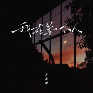 苏星婕《我在等一个人》Flac/MP3格式 无损音乐下载-无损音乐源