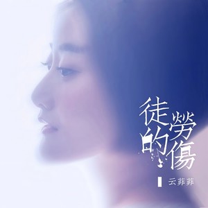 云菲菲《徒劳的伤》Flac/MP3格式 无损音乐下载-无损音乐源