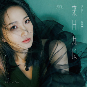 朱俐静《不完美的完美》Flac/MP3格式 无损音乐下载-无损音乐源