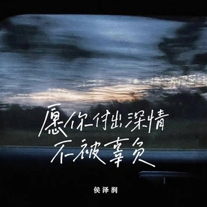 侯泽润《愿你付出深情不被辜负》Flac/MP3格式 无损音乐下载-无损音乐源
