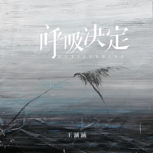 王涵涵《呼吸决定》Flac/MP3格式 无损音乐下载-无损音乐源