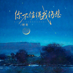 野哥《你不值得我伤悲》Flac/MP3格式 无损音乐下载-无损音乐源