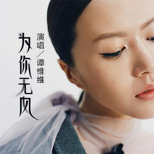 谭维维《为你无风》Flac/MP3格式 无损音乐下载-无损音乐源