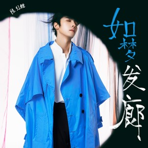 陈红鲤《如梦发廊》Flac/MP3格式 无损音乐下载-无损音乐源