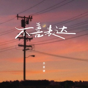 苏星婕《不善表达》Flac/MP3格式 无损音乐下载-无损音乐源