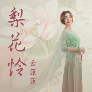 云菲菲《梨花怜》Flac/MP3格式 无损音乐下载-无损音乐源