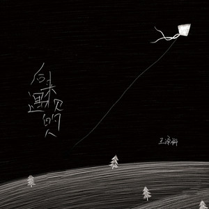 王泽科《后来遇见的人》Flac/MP3格式 无损音乐下载-无损音乐源