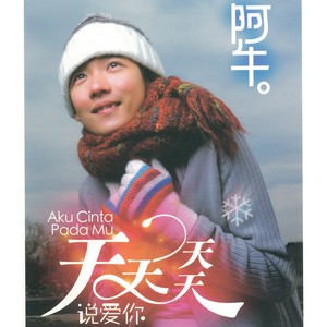 阿牛《天天天天说爱你》Flac/MP3格式 无损音乐下载-无损音乐源