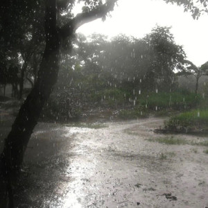 枫《海誓山盟》Flac/MP3格式 无损音乐下载-无损音乐源