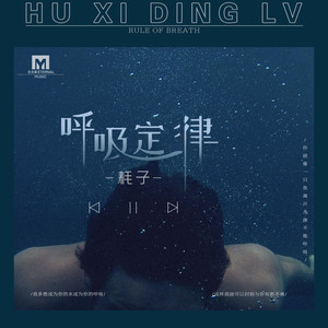 耗子《呼吸定律》Flac/MP3格式 无损音乐下载-无损音乐源