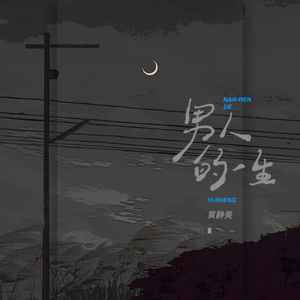 黄静美《男人的一生》Flac/MP3格式 无损音乐下载-无损音乐源