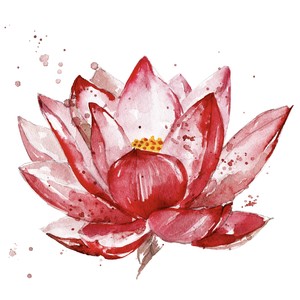 太一《歌名待定》Flac/MP3格式 无损音乐下载-无损音乐源