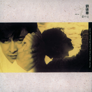 刘德华《邂逅》Flac/MP3格式 无损音乐下载-无损音乐源