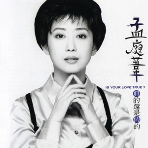 孟庭苇《相爱的可能性》Flac/MP3格式 无损音乐下载-无损音乐源