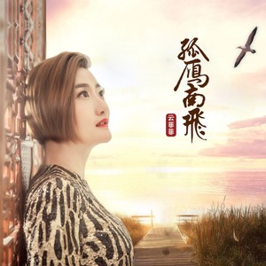 云菲菲《孤雁南飞》Flac/MP3格式 无损音乐下载-无损音乐源