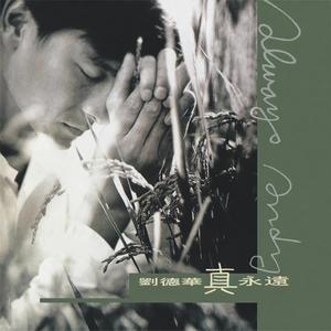 刘德华《你说他是你想嫁的人》Flac/MP3格式 无损音乐下载-无损音乐源