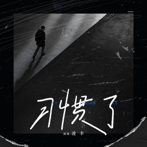 凌丰《习惯了》Flac/MP3格式 无损音乐下载-无损音乐源