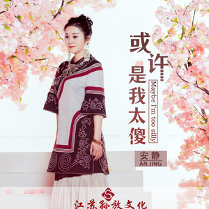 安静《或许是我太傻》Flac/MP3格式 无损音乐下载-无损音乐源
