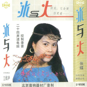 张蝶《热情的沙漠》Flac/MP3格式 无损音乐下载-无损音乐源