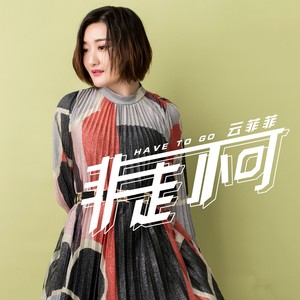 云菲菲《非走不可》Flac/MP3格式 无损音乐下载-无损音乐源