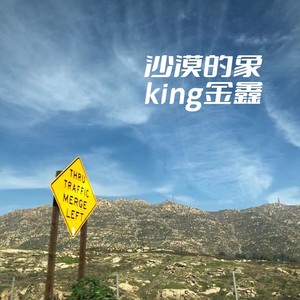 king金鑫《沙漠的象》Flac/MP3格式 无损音乐下载-无损音乐源