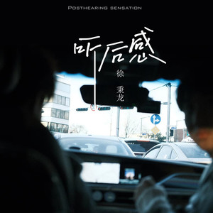 徐秉龙《听后感》Flac/MP3格式 无损音乐下载-无损音乐源