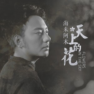 海来阿木《天上的花》Flac/MP3格式 无损音乐下载-无损音乐源