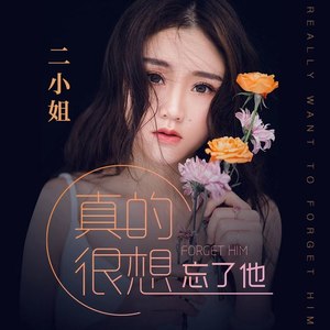 二小姐《真的很想忘了他》Flac/MP3格式 无损音乐下载-无损音乐源
