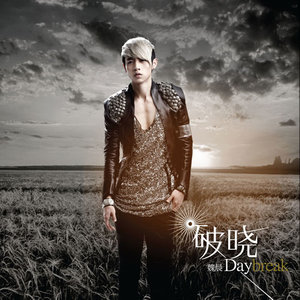 魏晨《月光》Flac/MP3格式 无损音乐下载-无损音乐源