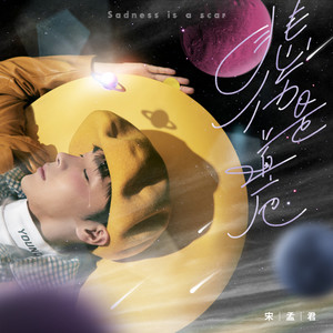 宋孟君《悲伤是道疤》Flac/MP3格式 无损音乐下载-无损音乐源