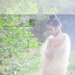 孙奇《蒹葭》Flac/MP3格式 无损音乐下载-无损音乐源