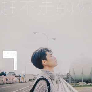 曹杨《赶不走的你》Flac/MP3格式 无损音乐下载-无损音乐源