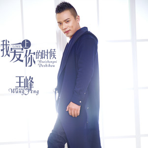王峰《我爱上你的时候》Flac/MP3格式 无损音乐下载-无损音乐源