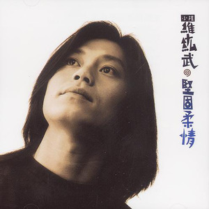 罗纮武《坚固柔情》Flac/MP3格式 无损音乐下载-无损音乐源