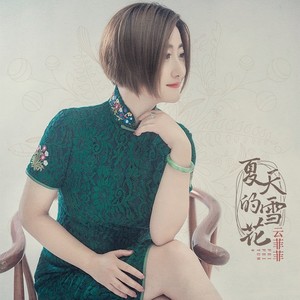 云菲菲《夏天的雪花》Flac/MP3格式 无损音乐下载-无损音乐源