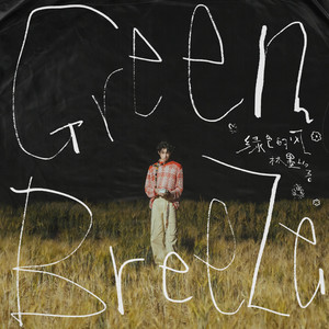 林墨《绿色的风》Flac/MP3格式 无损音乐下载-无损音乐源