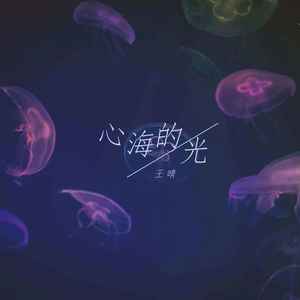 王晴《心海的光》Flac/MP3格式 无损音乐下载-无损音乐源