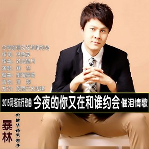 暴林《今夜的你又在和谁约会》Flac/MP3格式 无损音乐下载-无损音乐源