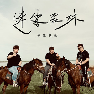 半吨兄弟《迷雾森林》Flac/MP3格式 无损音乐下载-无损音乐源