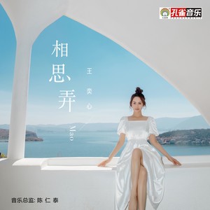 王奕心《相思弄》Flac/MP3格式 无损音乐下载-无损音乐源